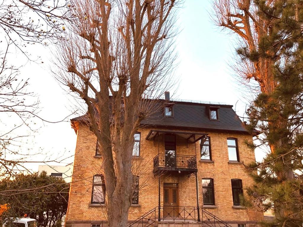 Domaine Sequoia Apartman Stutzheim Kültér fotó